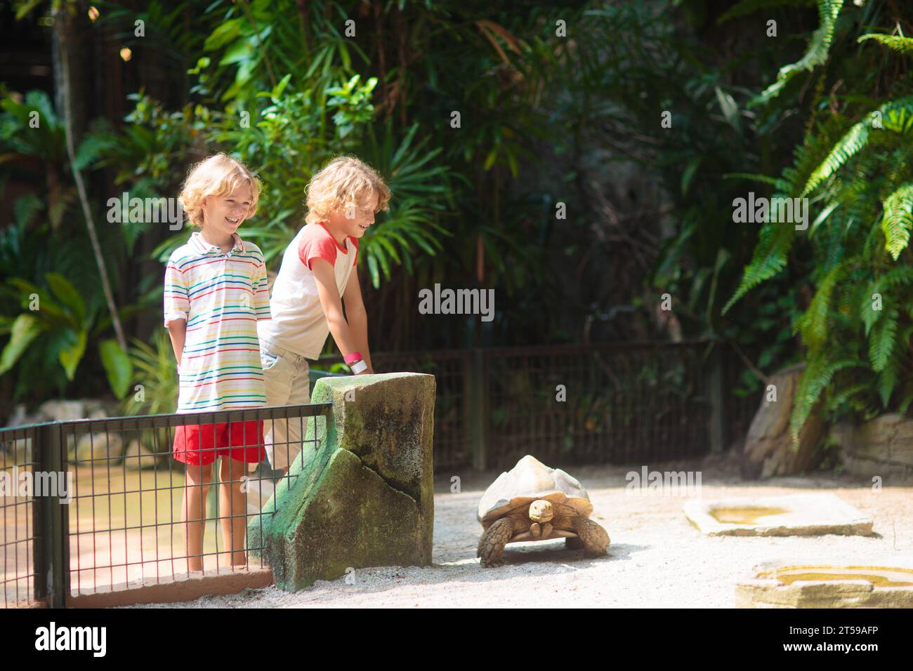 Kids feed animals at petting zoo. Family day trip to safari park. Child