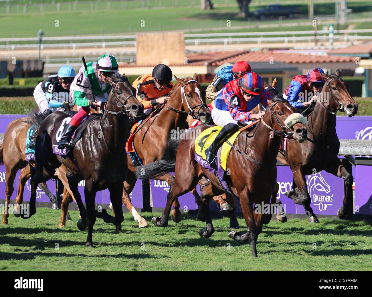 Arcadia, United States. 03rd Nov, 2023. Big Eve, (#4, yellow silks) ridden by Tom Marquand, wins the Breeders' Cup Juvenile Turf Spring during the 40th running of the Breeders' Cup Championships at Santa Anita Park in Arcadia, California. Friday, Nov.3, 2023. Photo by Mark Abraham/UPI Credit: UPI/Alamy Live News Stock Photo
