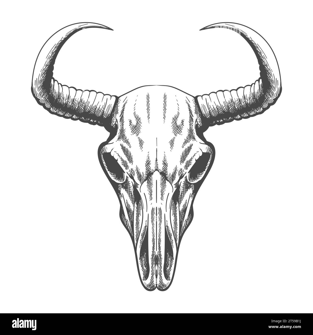 Monochrome Engraving Hand Drawn Scary Bull Skull.  Graphic Art Vector Illustration isolated on white. Stock Vector