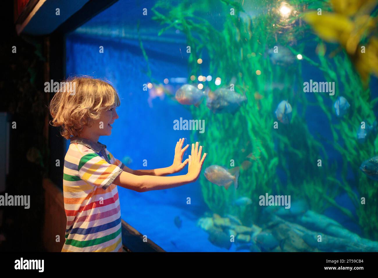 Family in aquarium. Kids watch tropical fish, marine life. Child