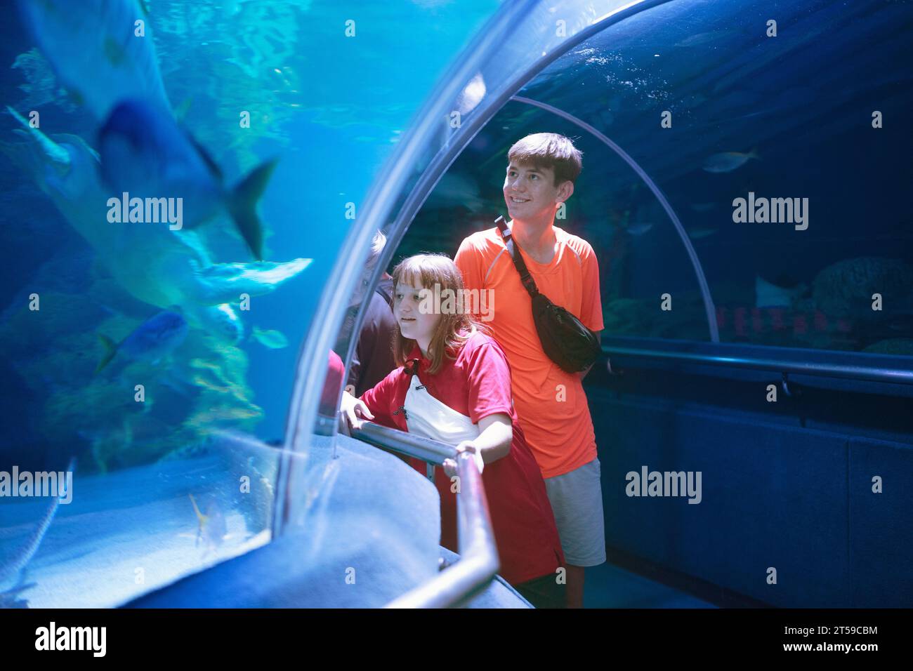 Family in aquarium. Kids watch tropical fish, marine life. Child
