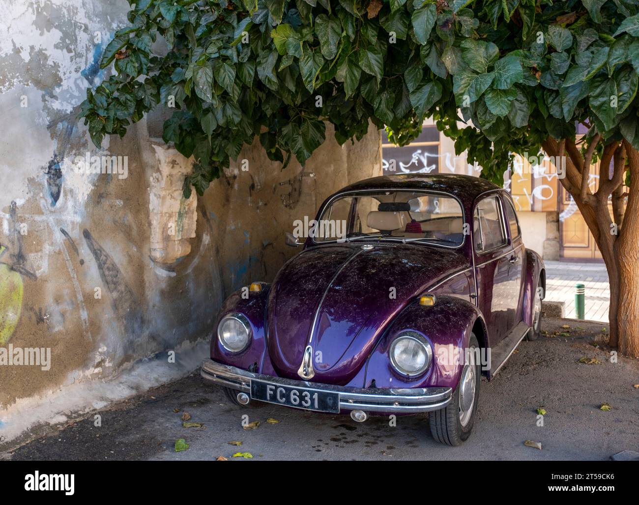 Old Volkswagen Beetle car parked under a tree in Larnaca town centre, Cyprus. Stock Photo