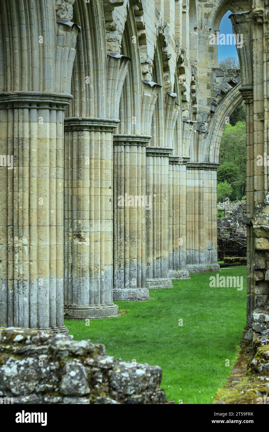 Rievaulx Abbey ruins, Rievaulx, near Helmsley, in the North York Moors National Park, North Yorkshire, England, UK Stock Photo