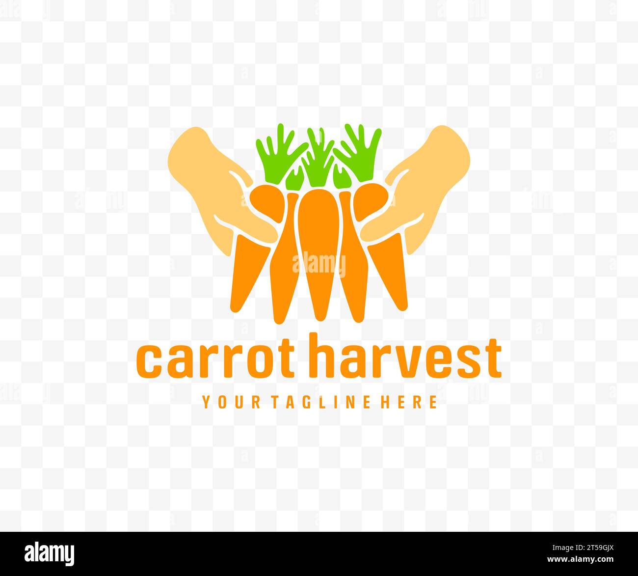 Harvesting carrots, vegetable, agriculture, food and meal, graphic design. Harvest, plant, nature, leaf, leaves, nourishment and grocery, vector Stock Vector
