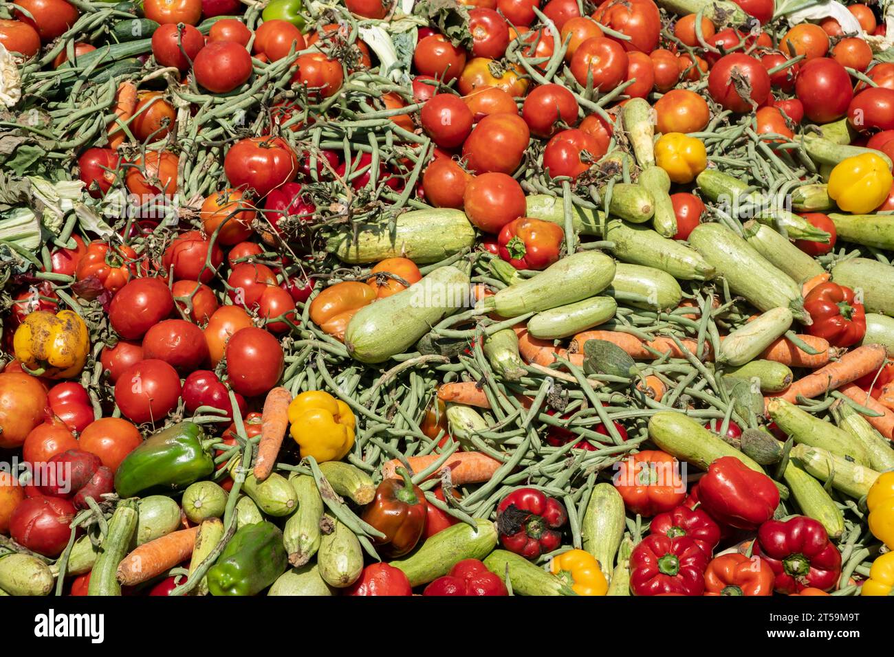 Expired Organic bio waste. Mix Vegetables and fruits in a huge container, Organic Compost heap