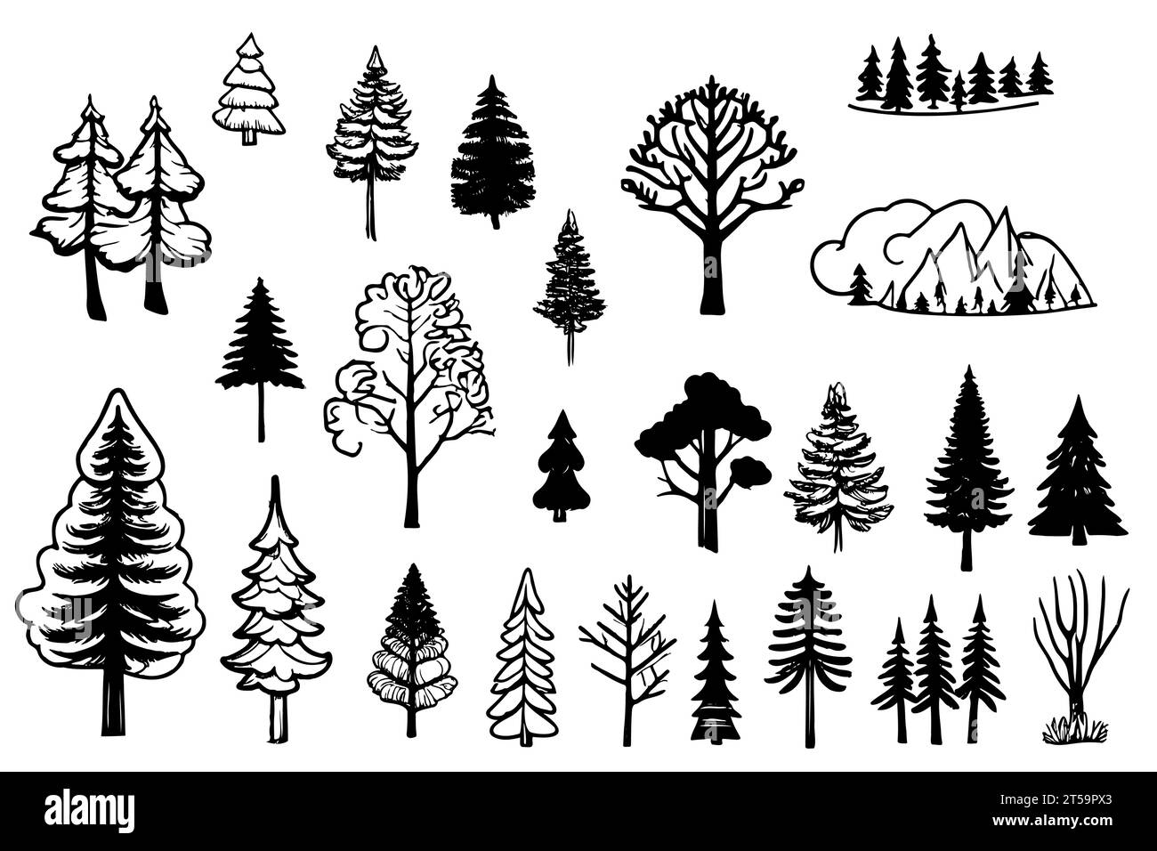 Set sketch tree different types and shapes isolated on white background. Hand drawn vector illustration. Stock Vector