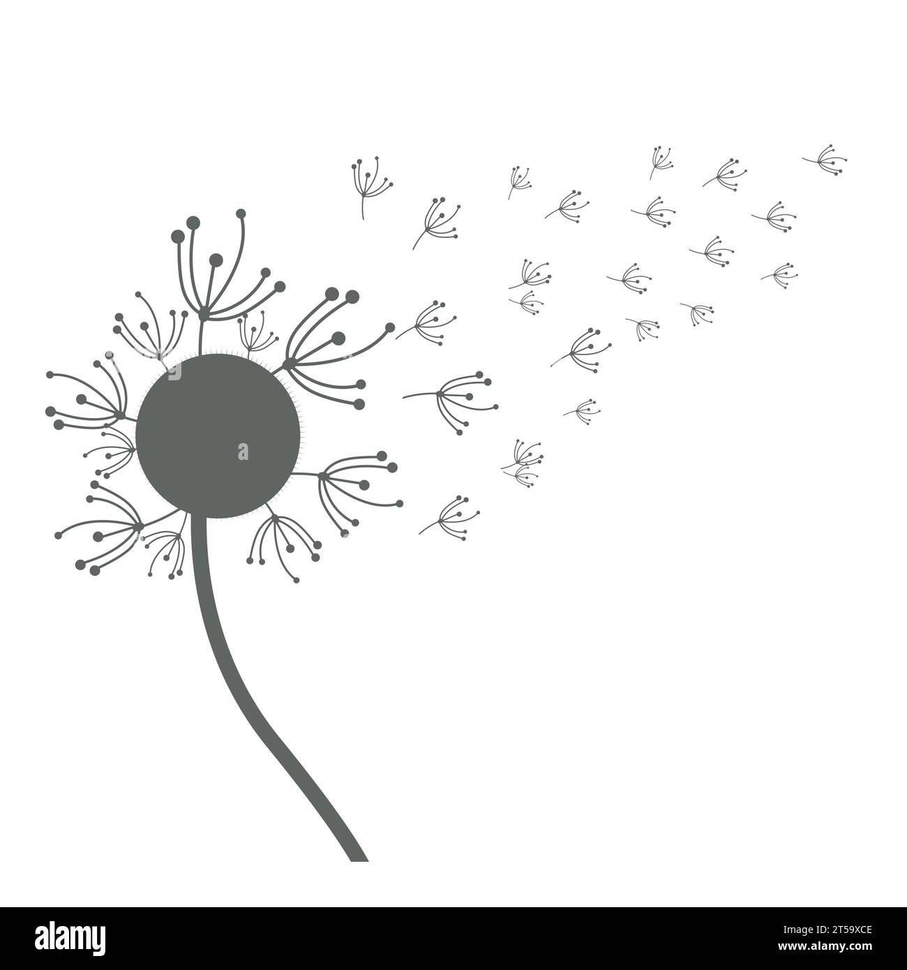 Dandelion Flower Vector, Flower Plant Illustration Icon, Dendelion Logo ...