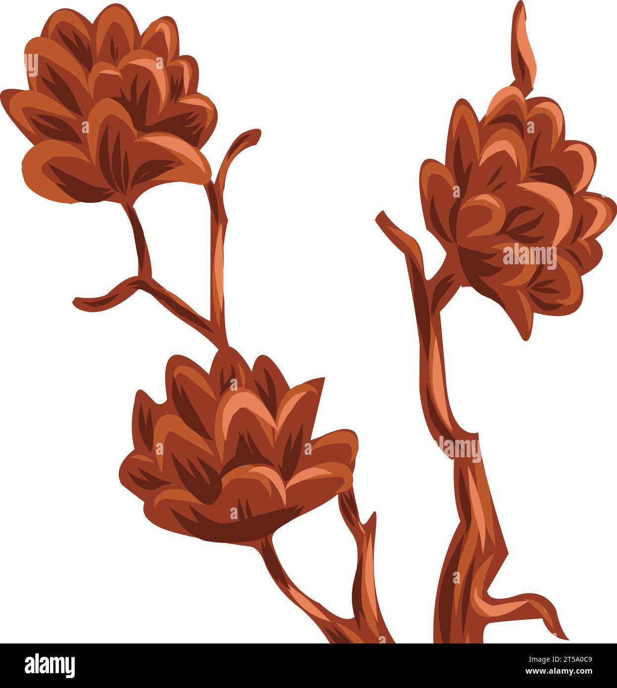 flowers brown vector. branch of leaves and flowers in brown color