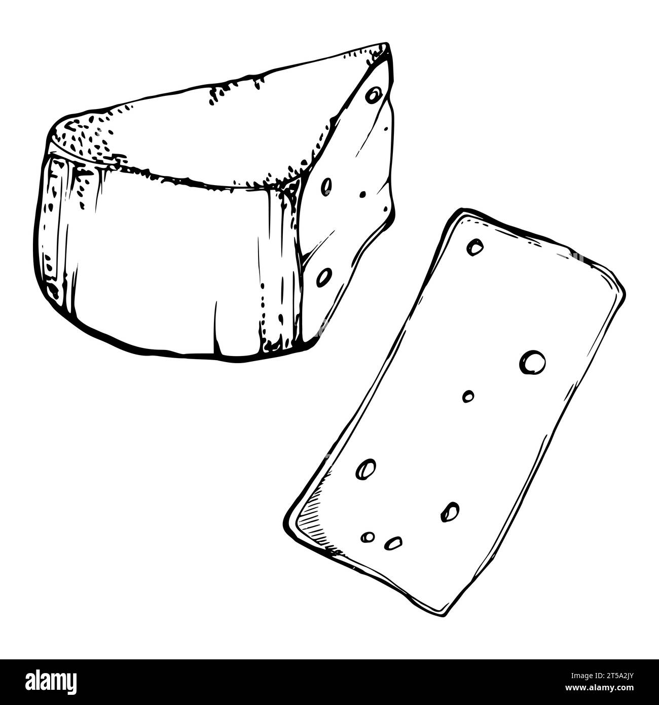 Hand drawn vector ink illustration. Parmesan edam emmental fontina
