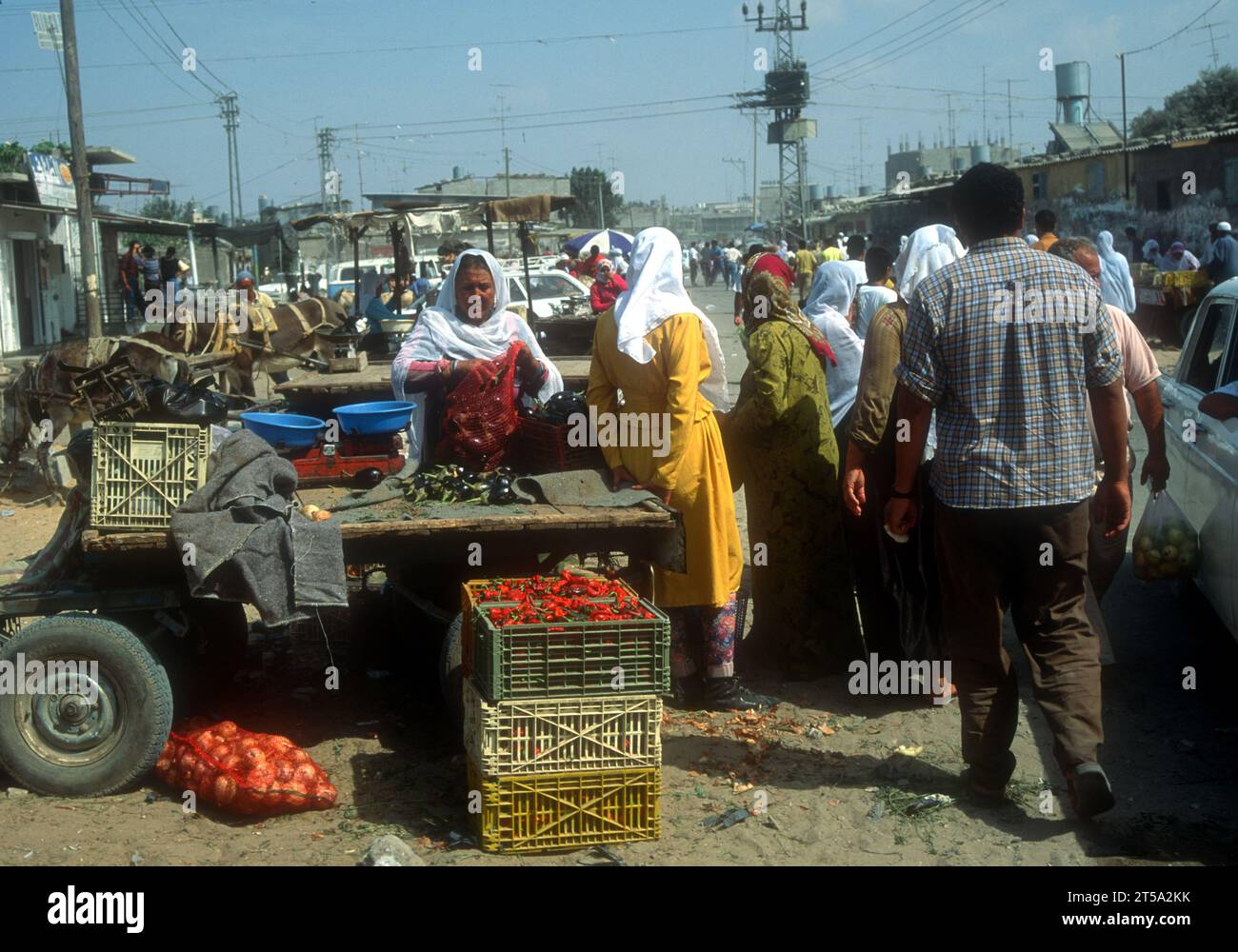 A makeshift stall selling tomatoes, Jabalia Refugee Camp, Gaza, 1992 Stock Photo