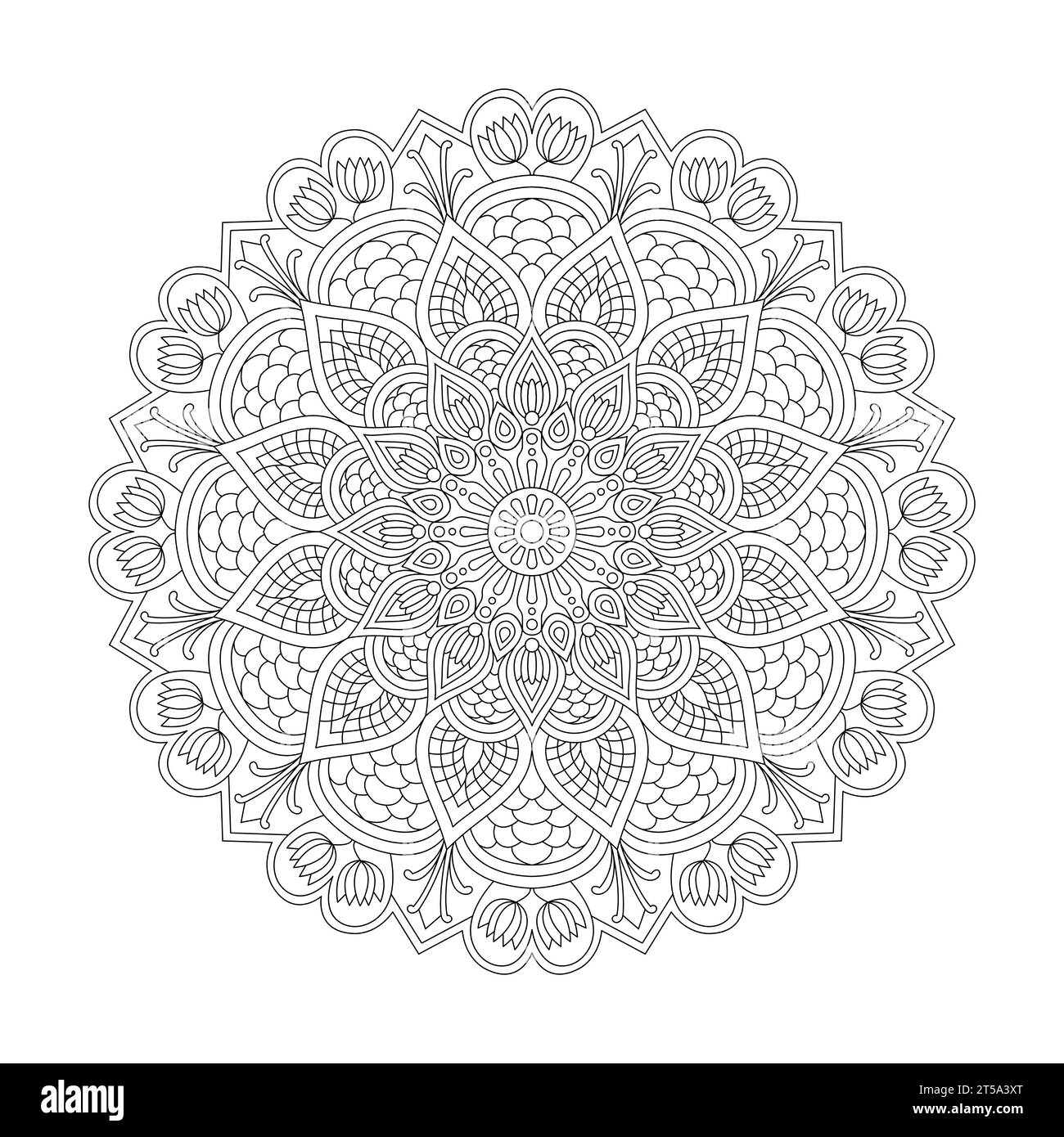 Adult cosmic serenity Mandala colouring book page for KDP book interior. Peaceful Petals, Ability to Relax, Brain Experiences, Harmonious Haven, Peace Stock Vector