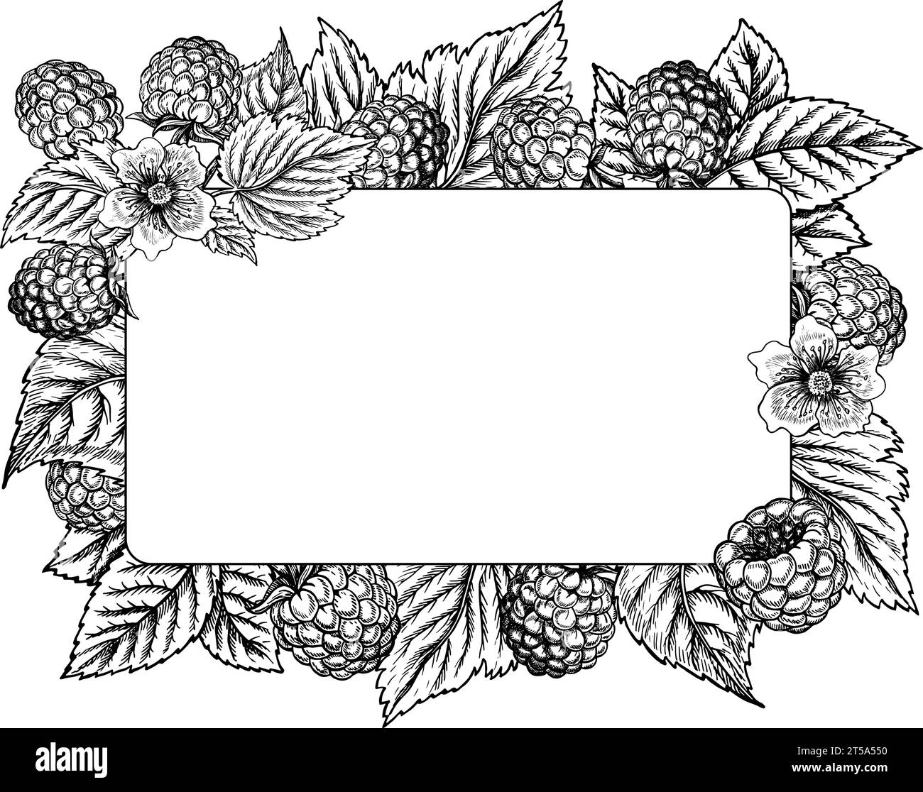 Frame with raspberries, hand drawn black and white graphic vector illustration. Isolated on a white background. For packaging, labels and printed prod Stock Vector