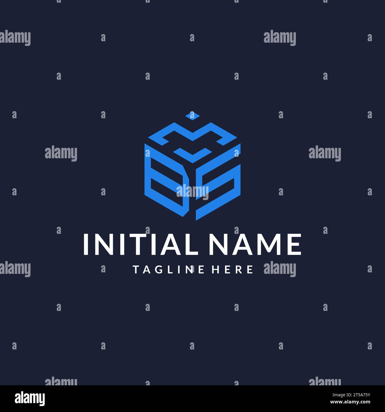 BS logo hexagon designs, best monogram initial logo with hexagonal shape design ideas inspiration Stock Vector