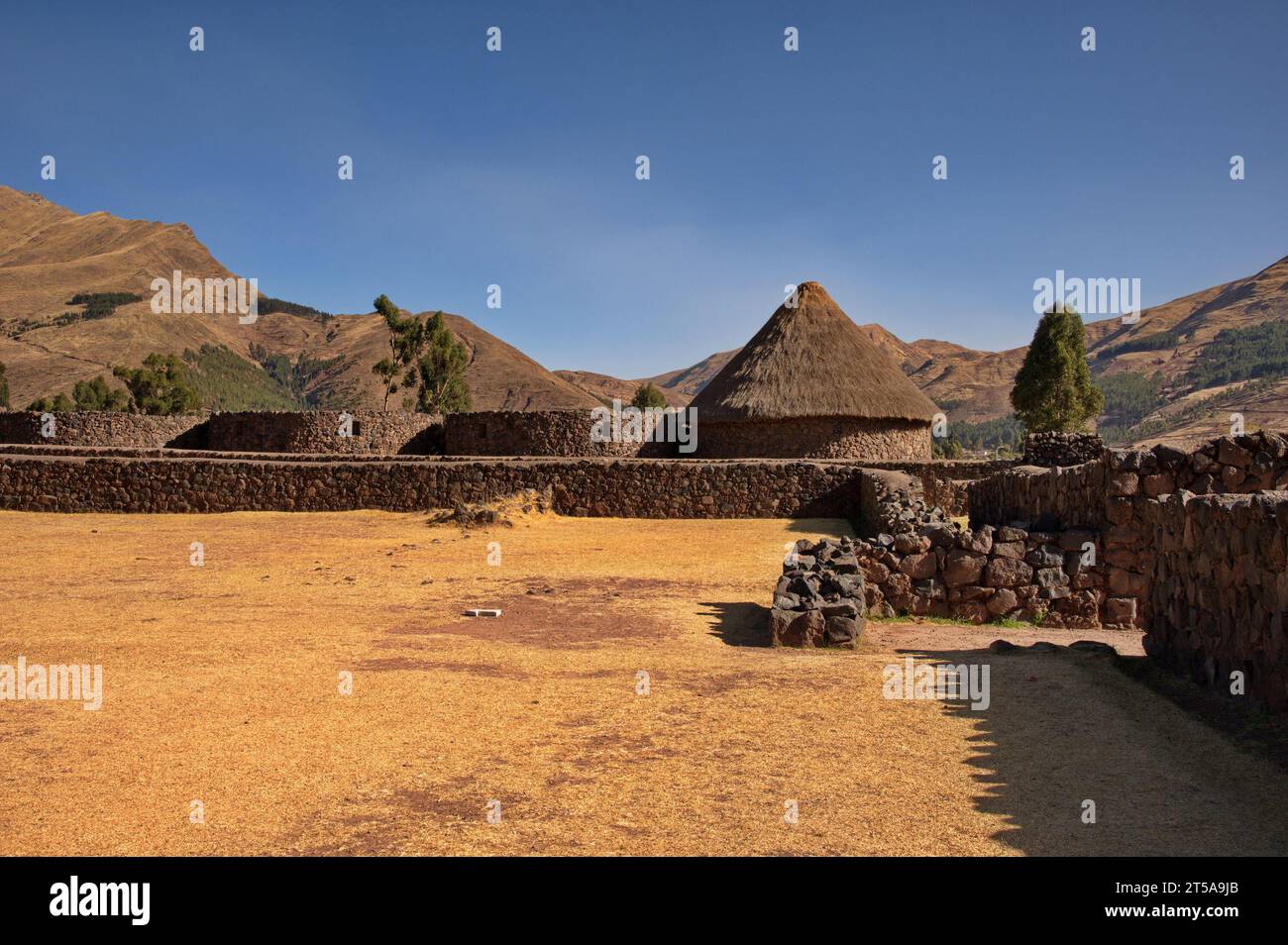 Archaeological Park 'Wiracocha' in Raqchi ruins Stock Photo