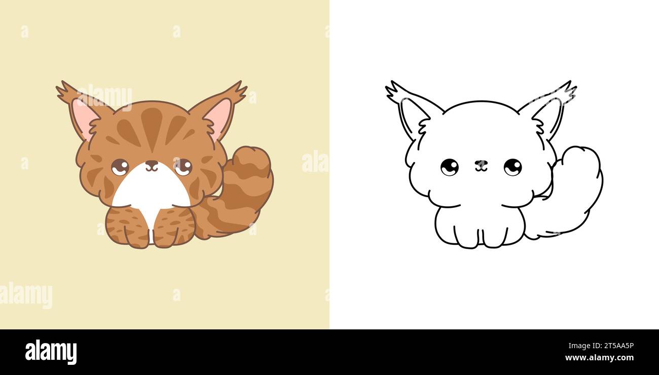 Set Vector Maine Coon Cat Multicolored and Black and White. Kawaii Clip ...
