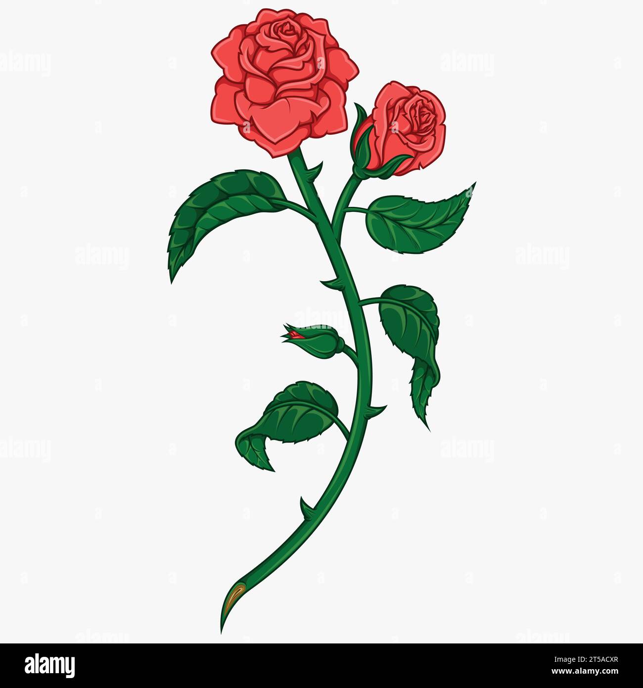 Vector design of a bouquet of roses, with leaves, petals and thorns, gift for lovers, plant for decoration Stock Vector