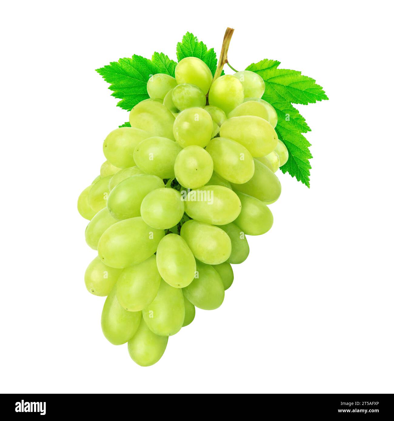 Fresh Grapes Isolated White Background Stock Photo