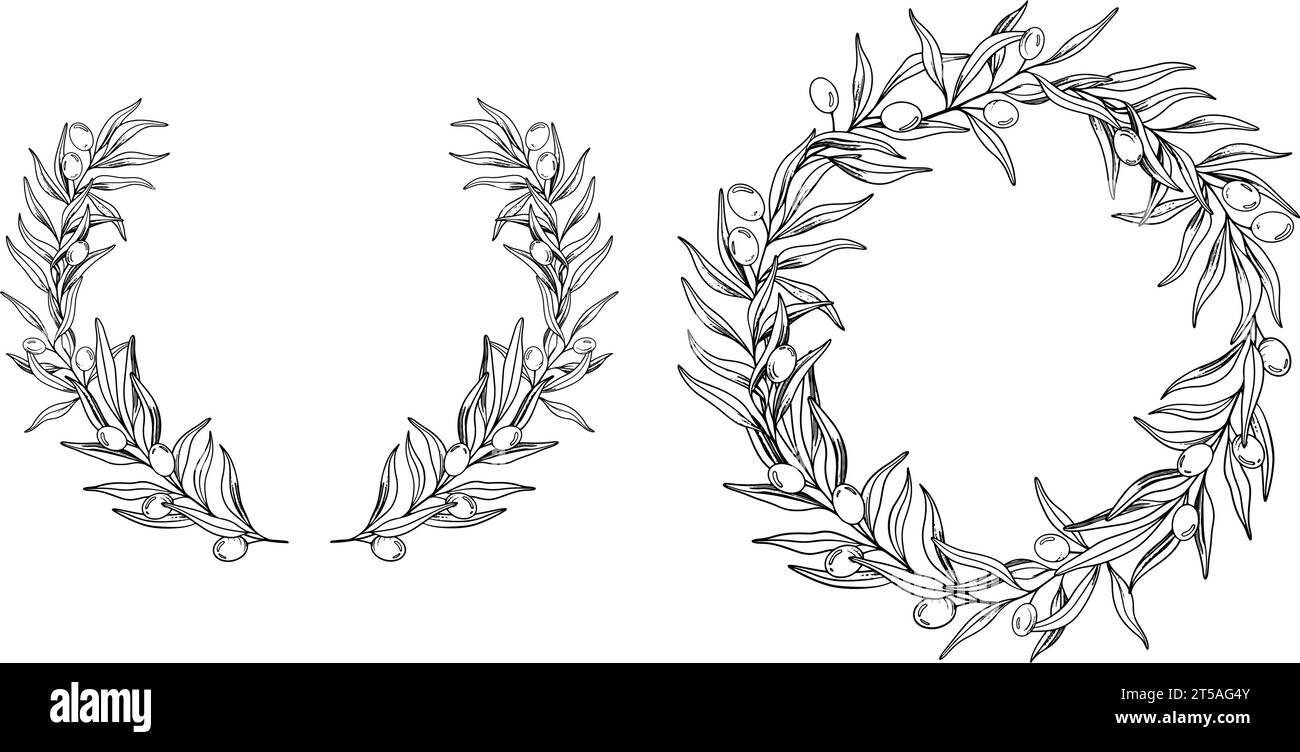 Sketch Wreath of olive branch with berries and leaves. Hand drawn ...