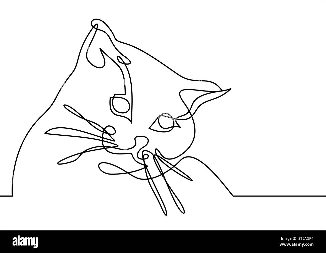 Vector of a cat face designcontinuous line drawing Stock Vector Image & Art Alamy