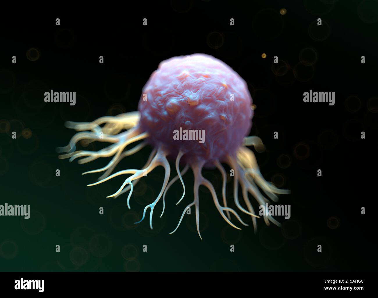Cancer cell illustration Stock Photo Alamy