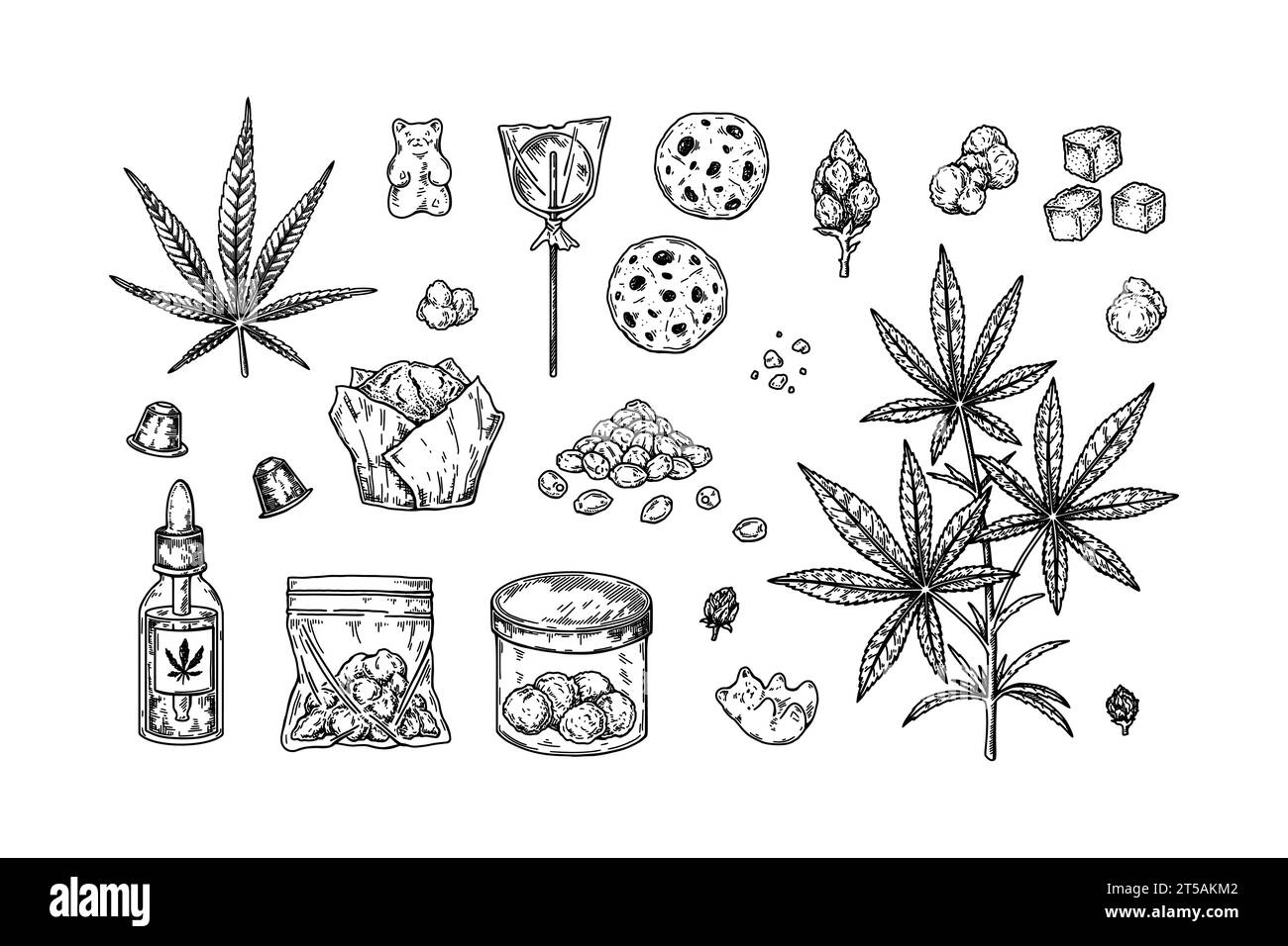 Cannabis products. Set of design elements for marijuana store decoration. Vector illustration in sketch style Stock Vector