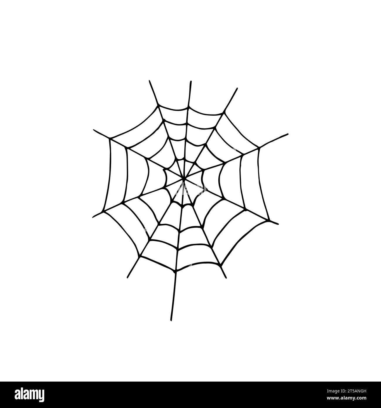 Hand drawn spider web. Outline illustration of a simple Halloween party