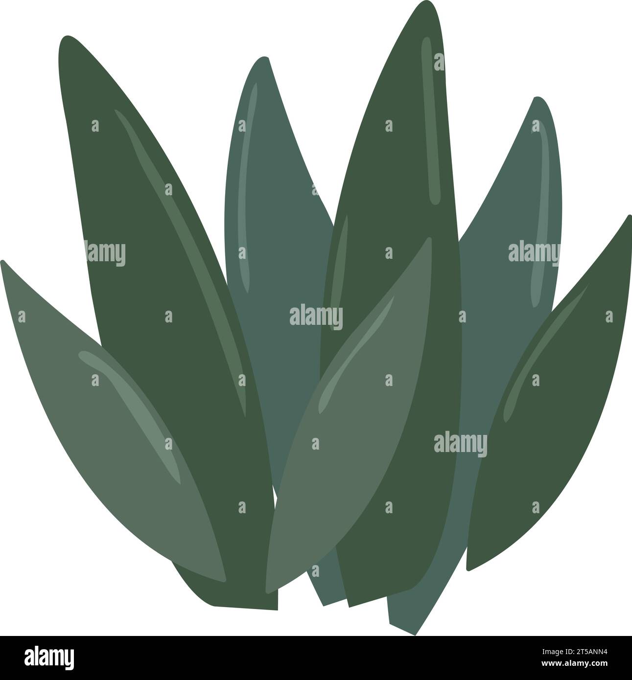 Isolated green indoor plant on pot Vector Stock Vector Image & Art - Alamy