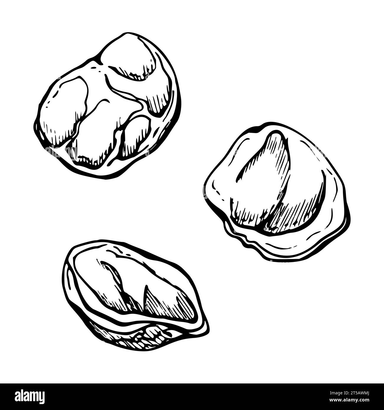 PETTI Federe Cuscini in Stampa Digitale, Marble Tortora Qualità Garantita Casa e
