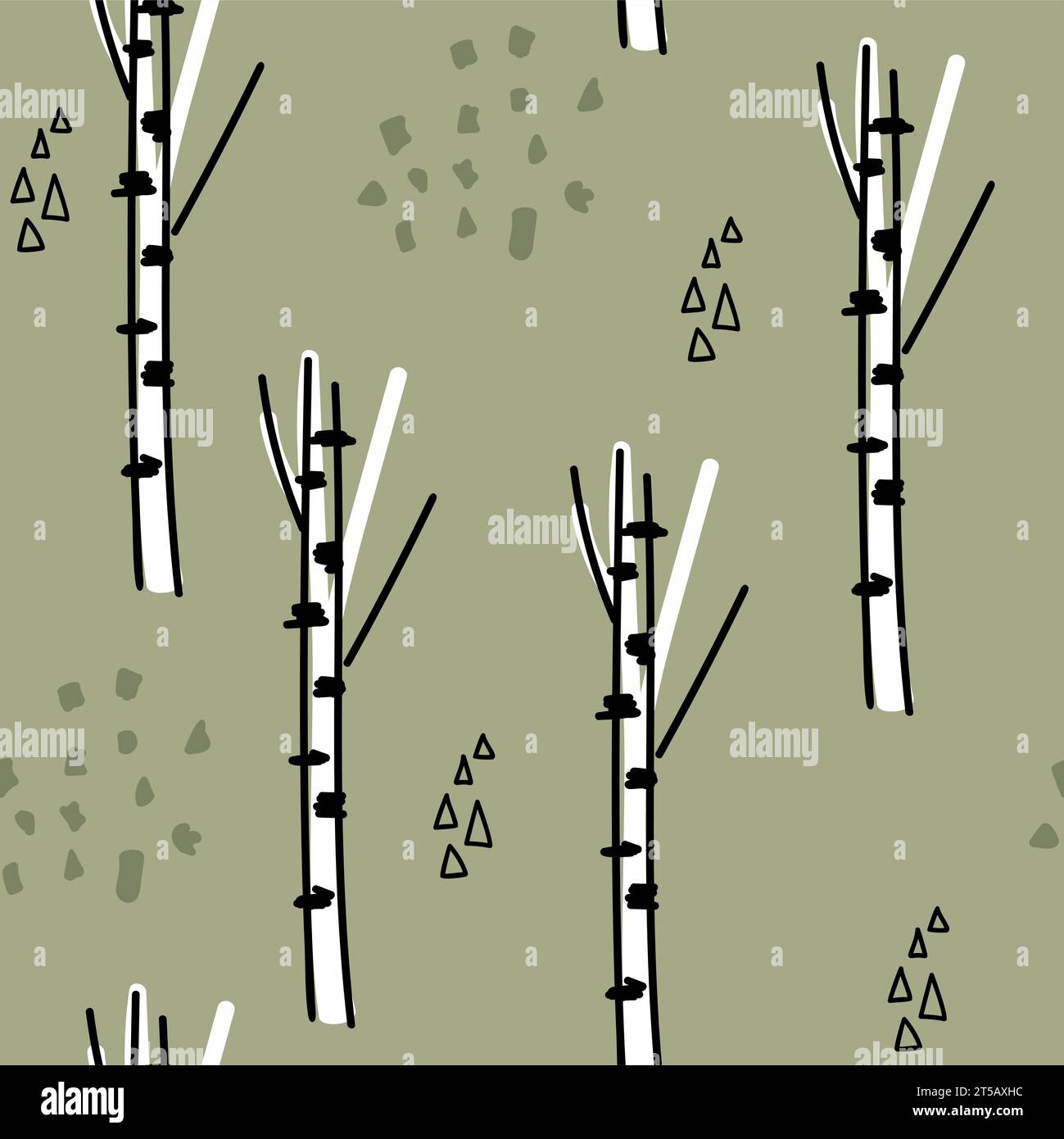 Paper birch trees on Stock Vector Images - Alamy