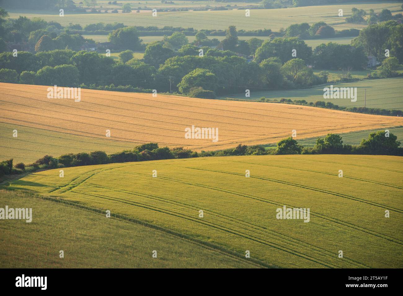 Beautiful Summer sunset from Firle Beacon in South Downs National Park in beautiful English countryside Stock Photo
