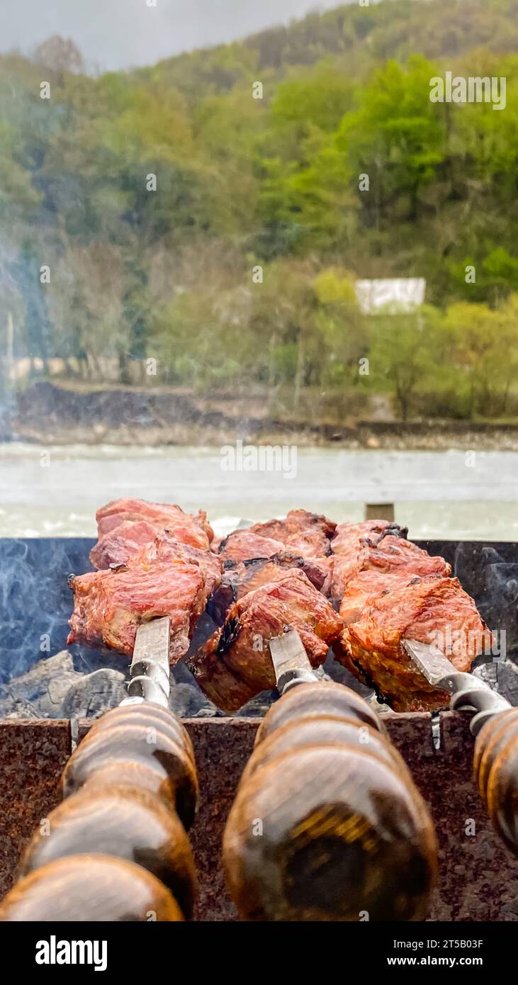 Delicious cold cuts on a skewer, cooked on a barbecue in nature. vertical position of the photo