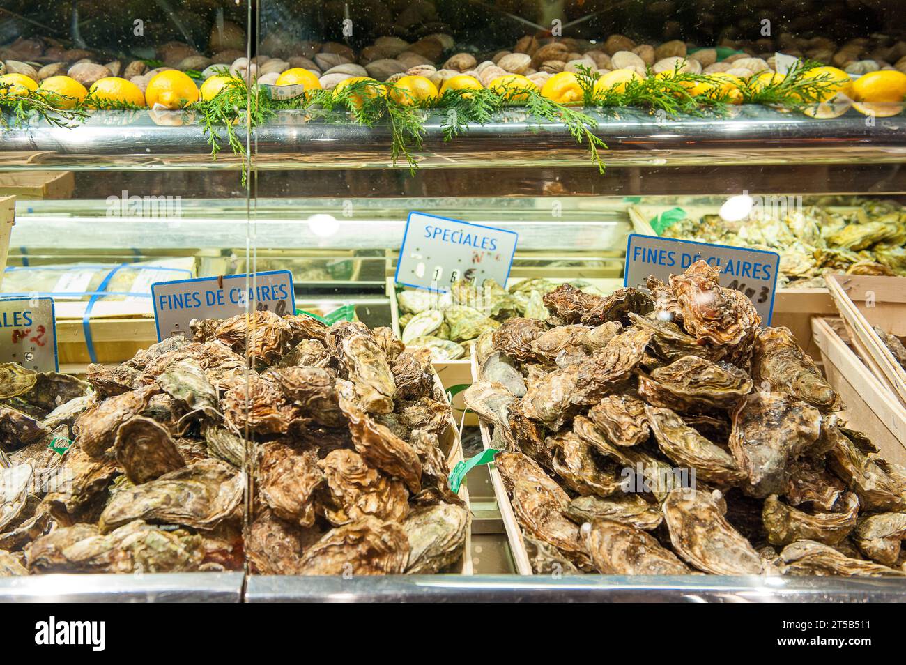 Oysters on display at legendary Le Dome Café  in Montparnasse on a November evening in Paris, France Stock Photo