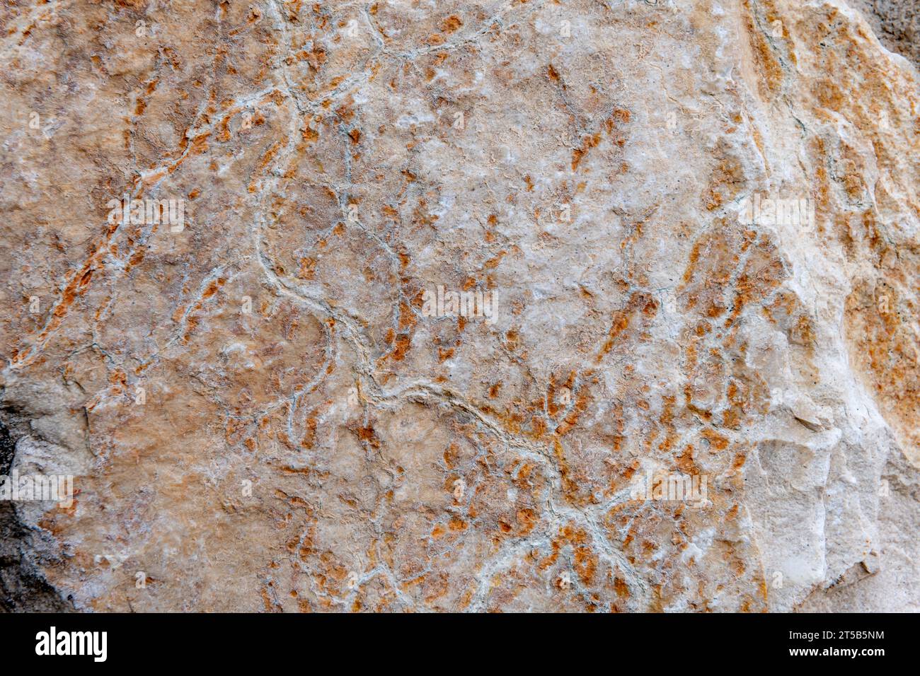Colours, textures and patterns on a natural stone. Stone background. Stock Photo