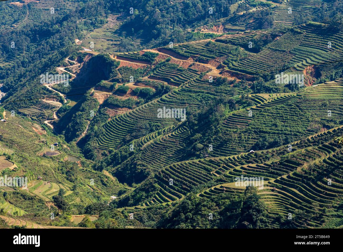 Rice Terrace and Landscape of the Ha Giang Loop in Vietnam Stock Photo ...