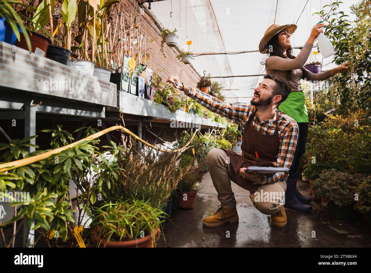Cheerful gardeners working greenhouse Stock Photo