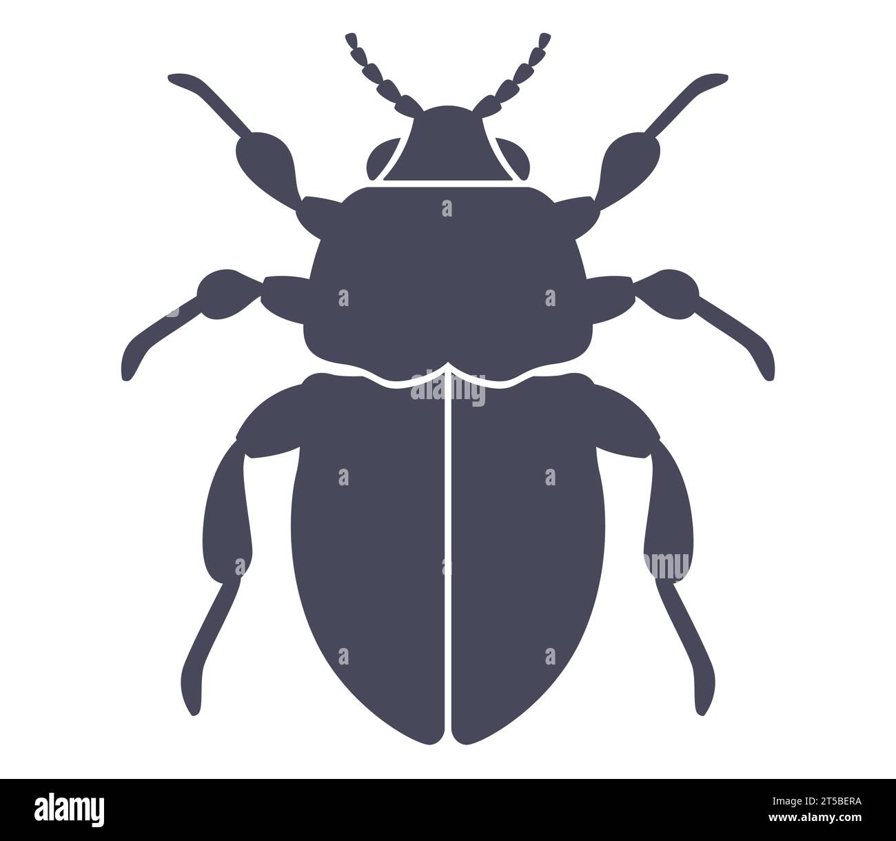 black beetle icon. flat vector illustration Stock Vector Image & Art ...