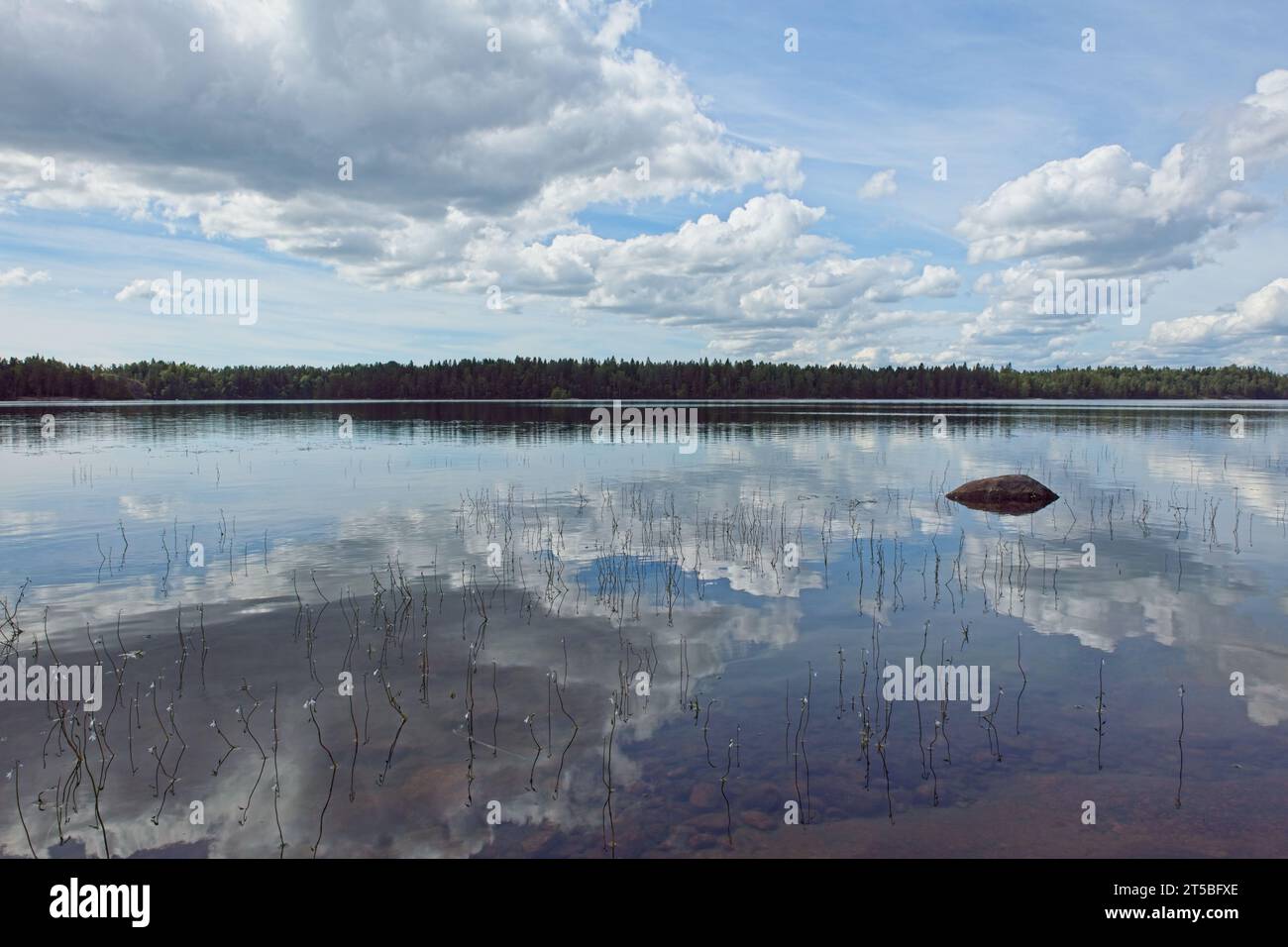 Landscape view of lake Meiko with cloudy sky reflecting on lake surface, Meiko nature reserve, Kirkkonummi, Finland. Stock Photo
