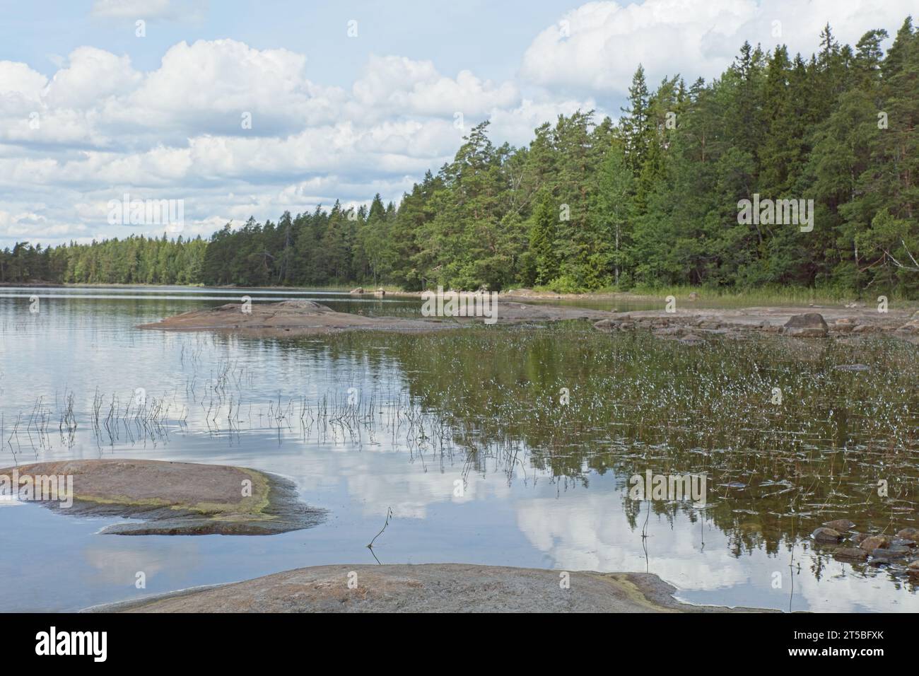 Landscape view of lake Meiko with shore forest reflecting on water surface, Meiko nature reserve, Kirkkonummi, Finland. Stock Photo