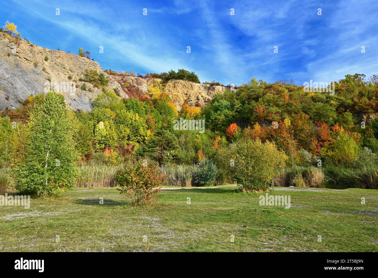 Beautiful colourful autumn landscape. Nature with forest and colourful trees in autumn. Concept for the season and the environment. Stock Photo