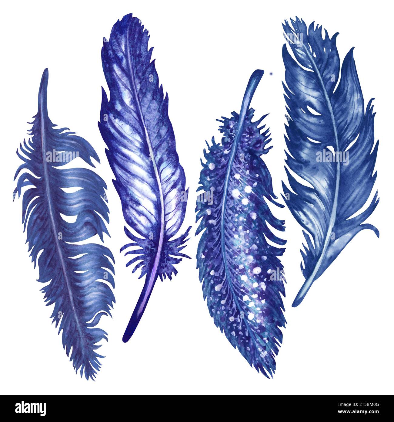 Watercolor blue bird feathers for art album elements, sketches