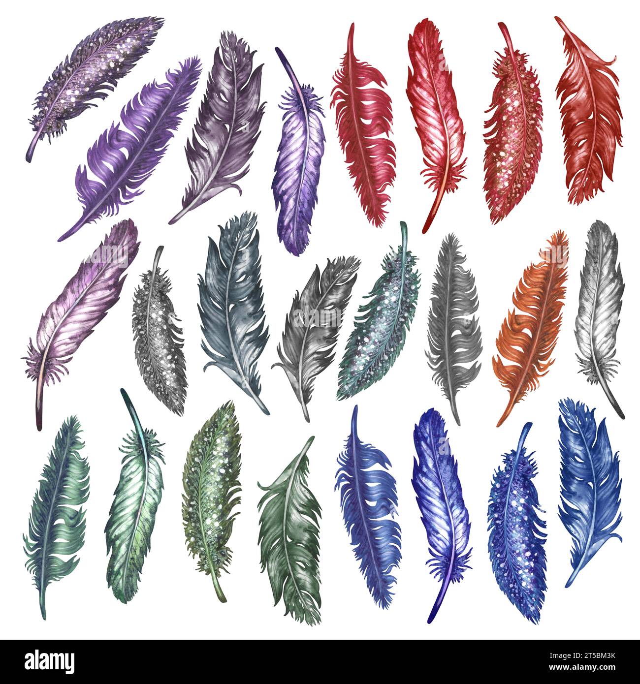 Watercolor bird feathers for art album elements, sketches, invitation