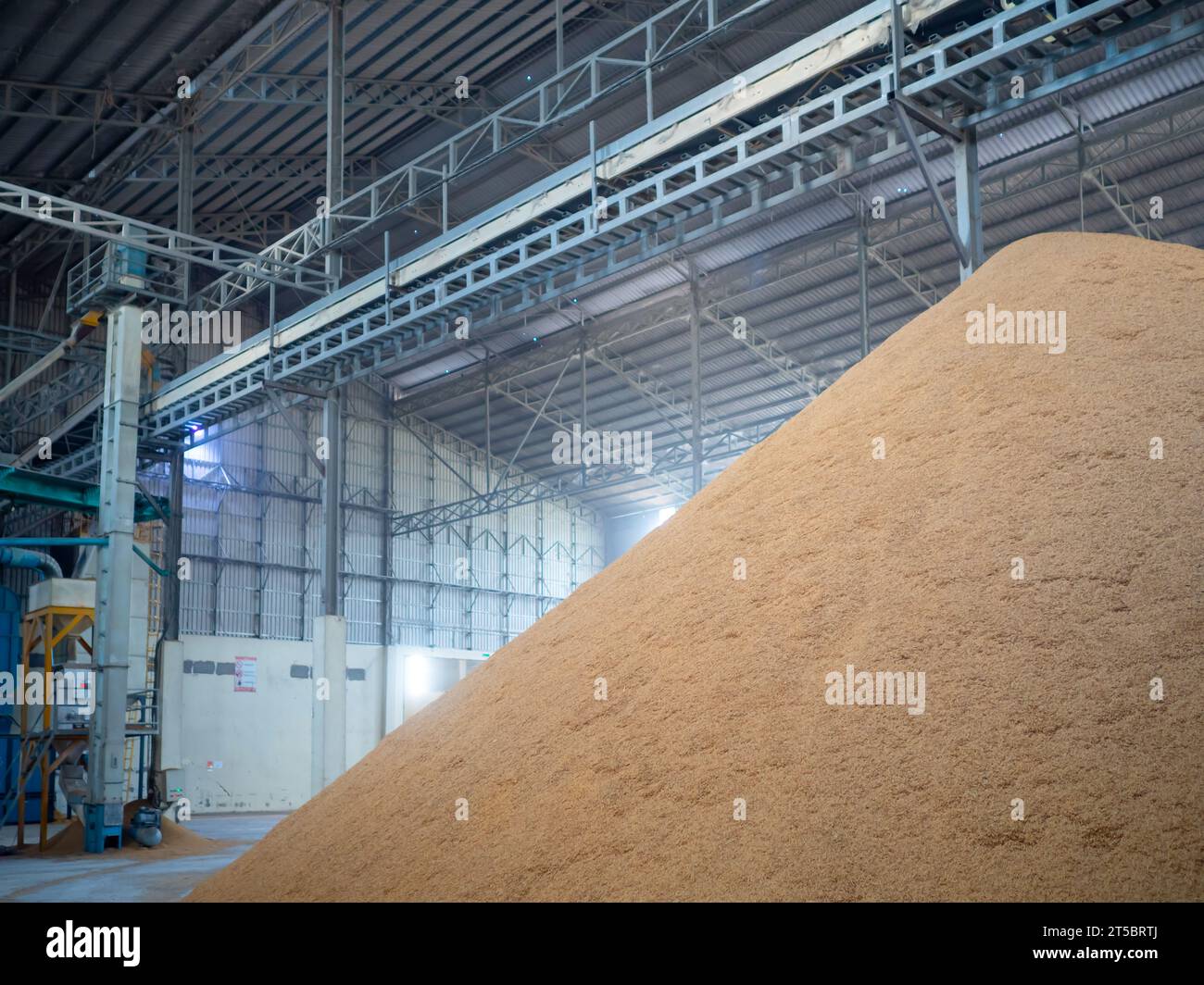 Close up of paddy rice pilling in warehouse at a milling plant. Stock Photo