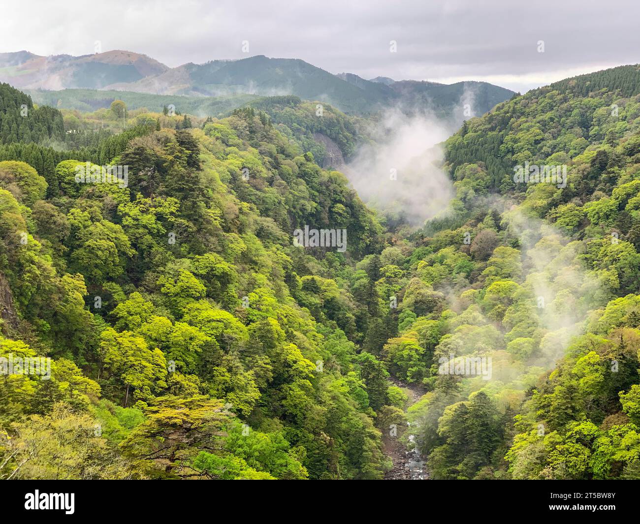 Japan, Kyushu. Scenic View from YumenoOhashi Suspension Bridge