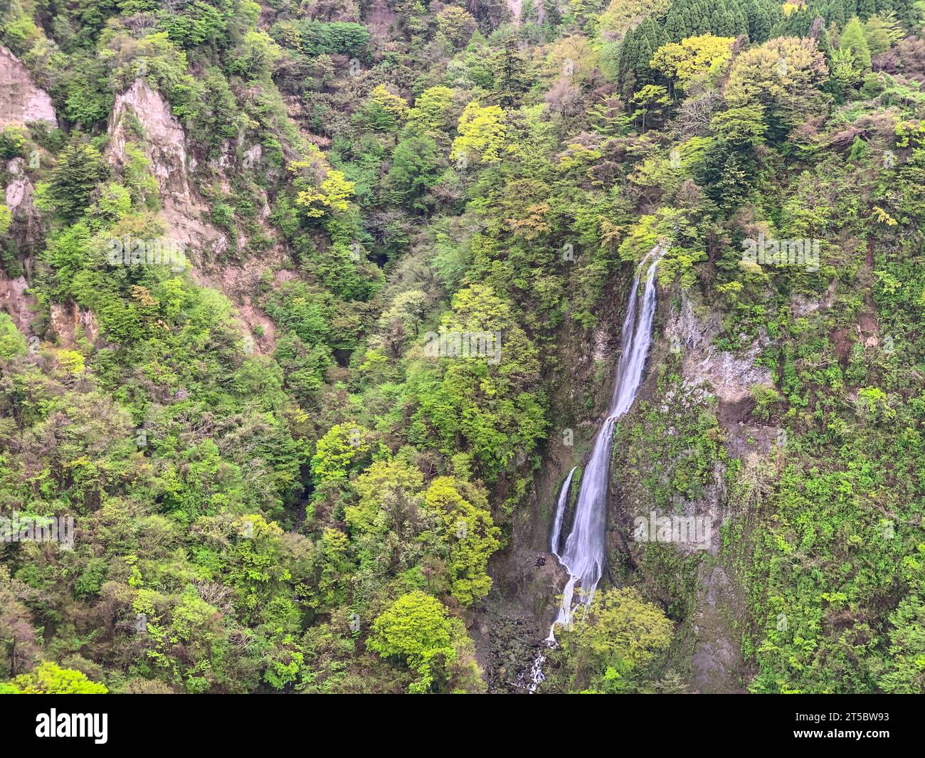 Japan, Kyushu. Scenic View from YumenoOhashi Suspension Bridge