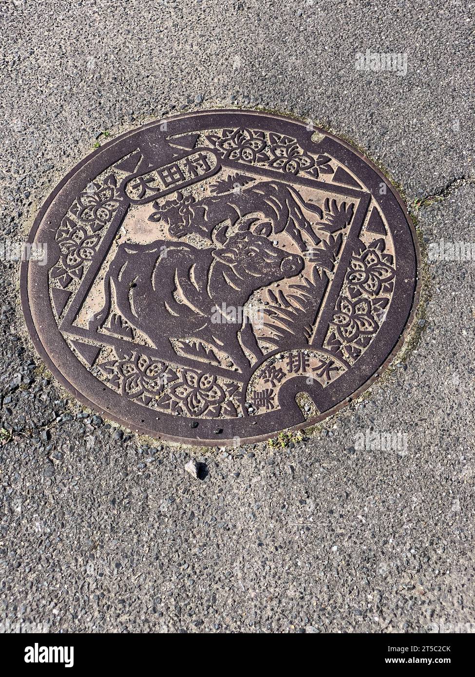 Japan, Kyushu, Kitsuki. Manhole Cover. Stock Photo