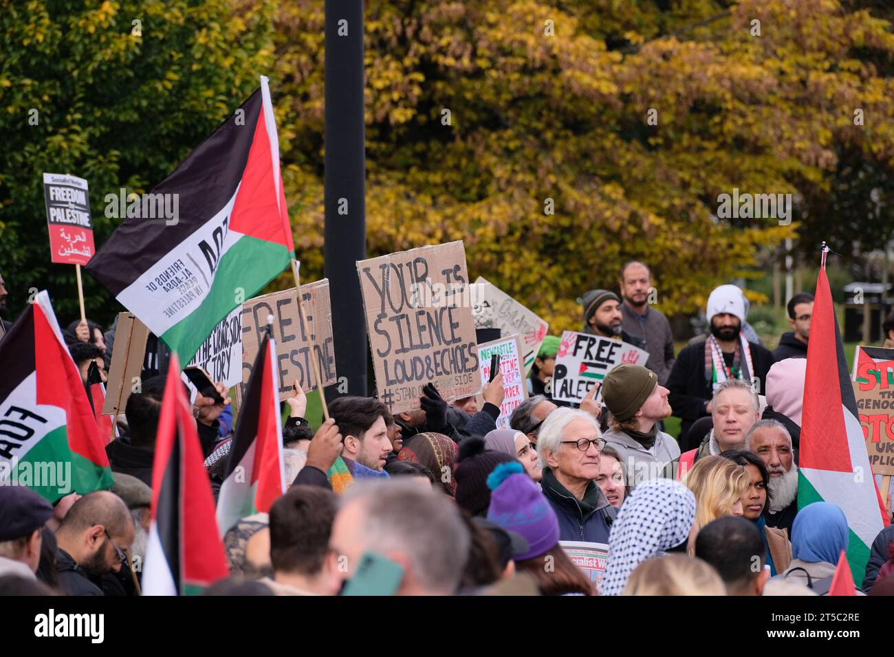 People take to the streets of Newcastle as part of the Palestine Solidarity Campaign March from Civic Centre to Grey Monument at Newcastle City Centre, Newcastle, United Kingdom, 4th November 2023  (Photo by Martin Hurton/News Images) Stock Photo