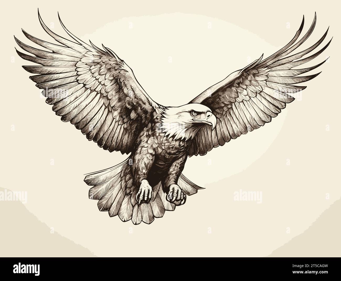 Drawing of Flying eagle logotype mascot in engraving style illustration separated, sweeping overdrawn lines. Stock Vector