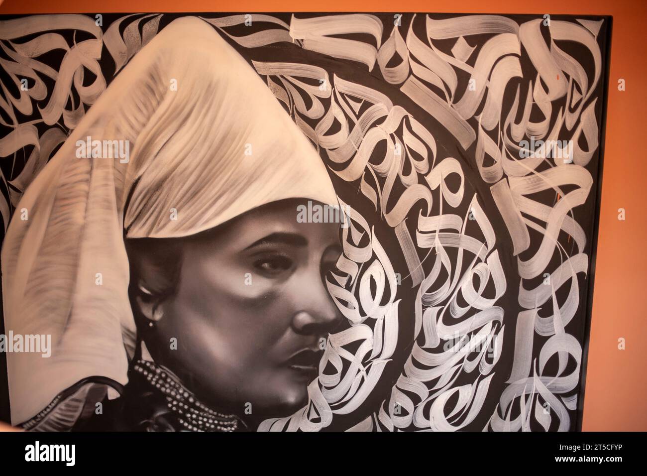 Mural / wall art in Marrakech Morocco Stock Photo Alamy