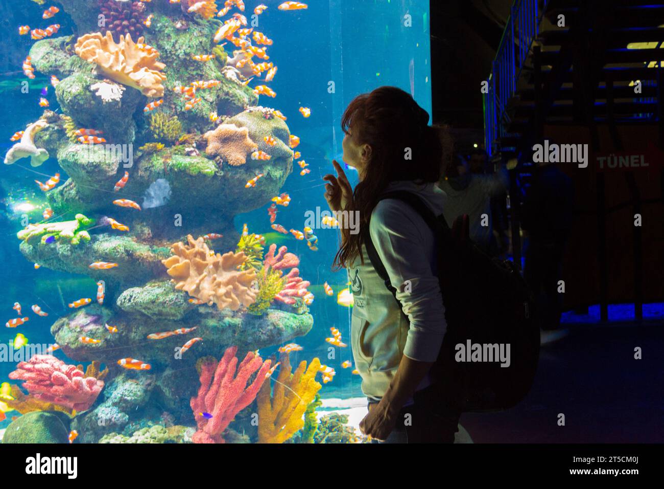 Young woman having fun enjoying the marine life in the tank of SeaLife aquarium,Istanbul city,Turkey.The TurkuaZoo also called Sealife Istanbul, Stock Photo