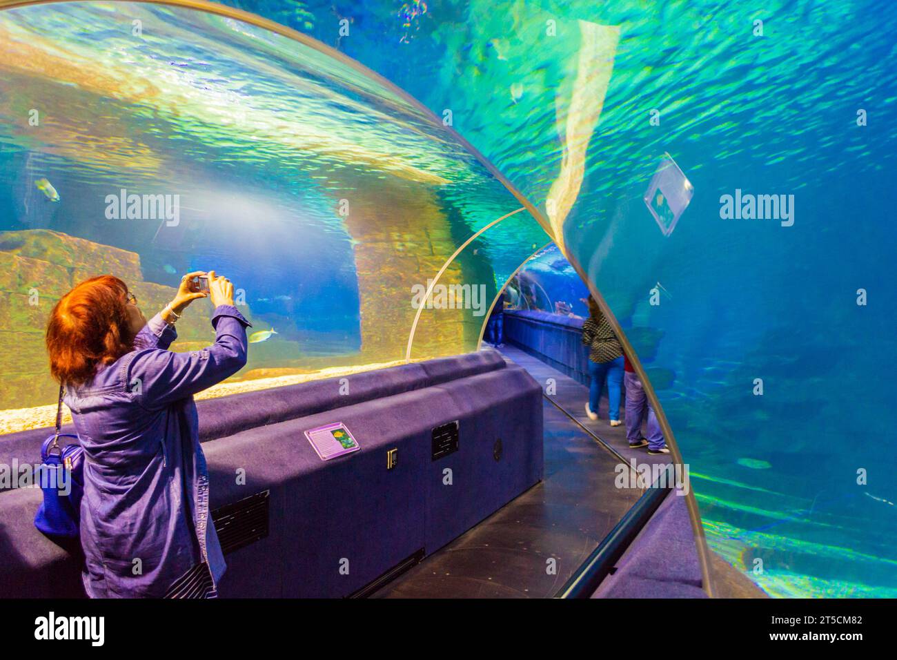 Tourist woman enjoying the marine life in a tank of SeaLife aquarium,Istanbul cit.The TurkuaZoo -first public aquarium in Turkey Stock Photo